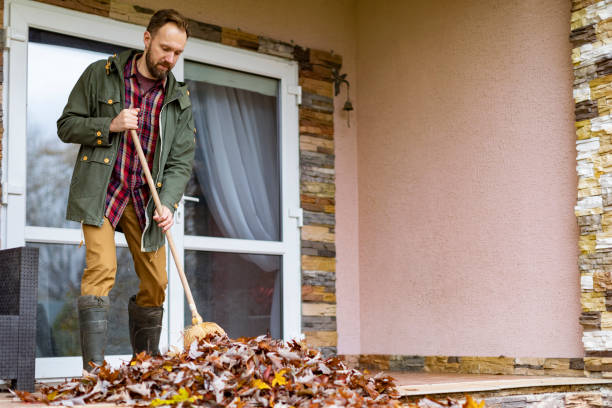 Best Basement Cleanout Services  in Toast, NC